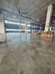 Bedok North Avenue 4 (D16), Warehouse #575462191